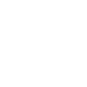 Logo NIROXX Engineering
